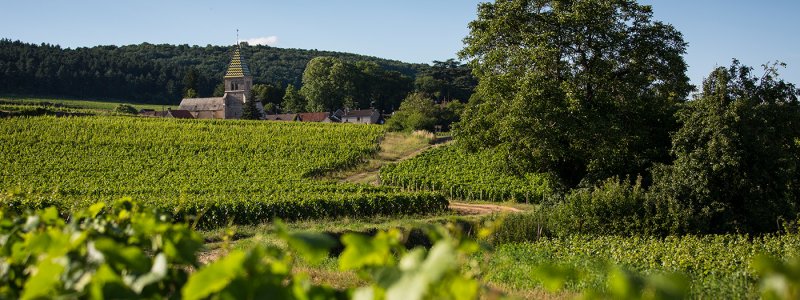 jaffelin_vinsfamille.jpg