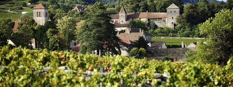 gevrey_chambertin_bivb_michel_joly.jpg