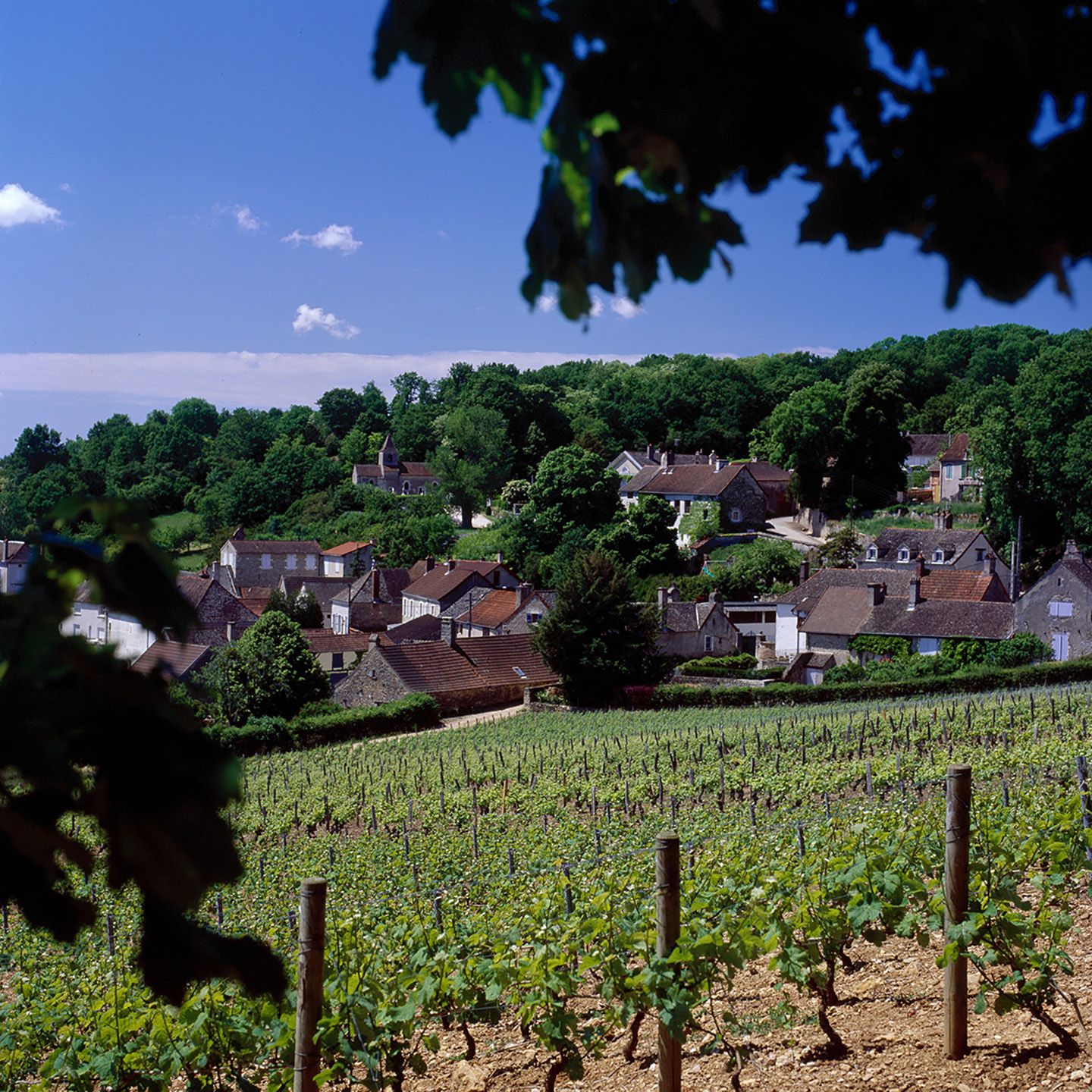 givry_bivb_gadenne_d.jpg